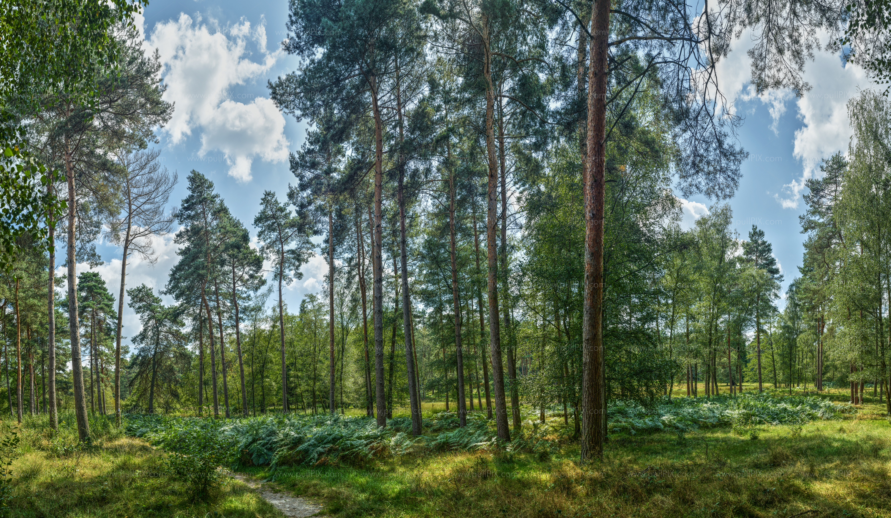 Preview Galgenvenn.jpg