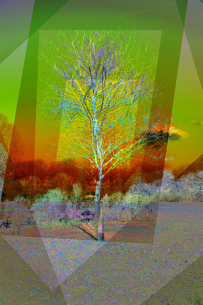 Preview baum3.jpg