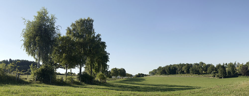 Preview Burhagen.jpg