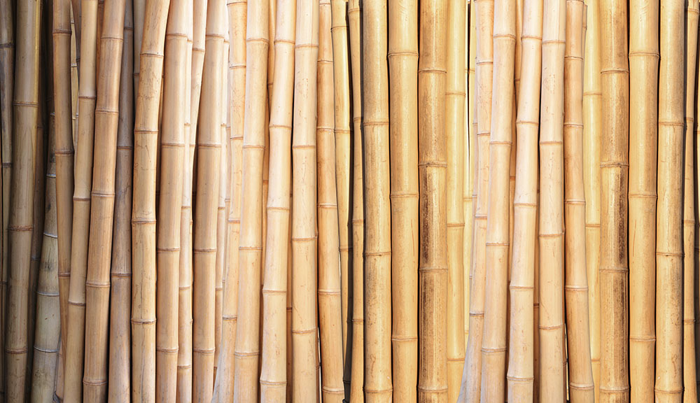 Preview bambus.jpg