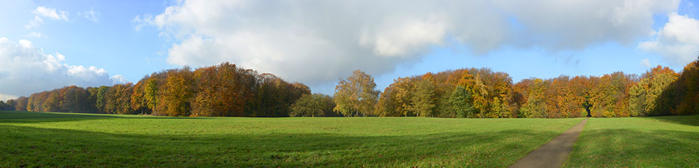 Preview wiesenweg5.jpg