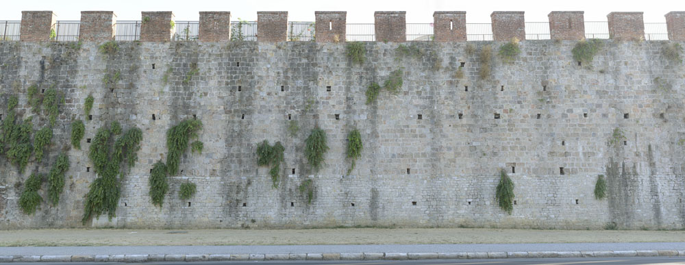Preview Stadtmauer_Pisa.jpg