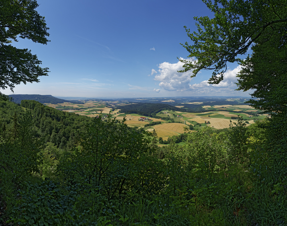 Preview Schwarzwaldblick-1.jpg