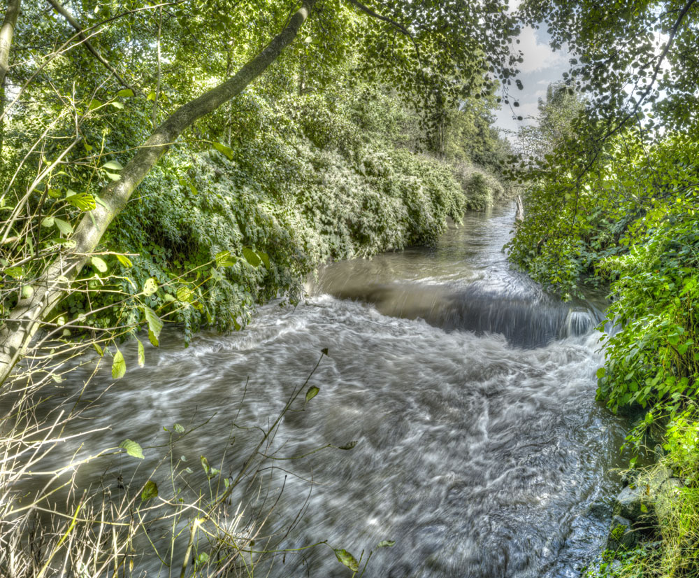 Preview wupper_tone_02.jpg